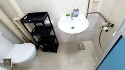 Central Green Condominium (D3), Condominium #481198571